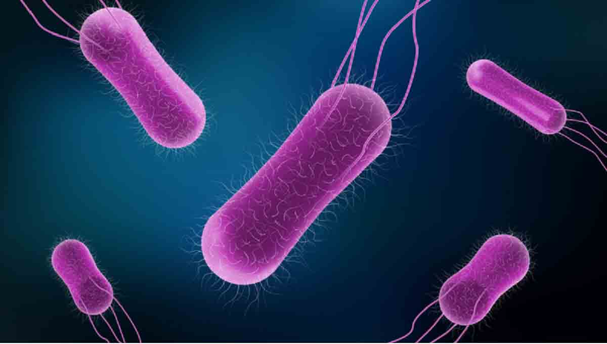 Foodborne Microorganisms